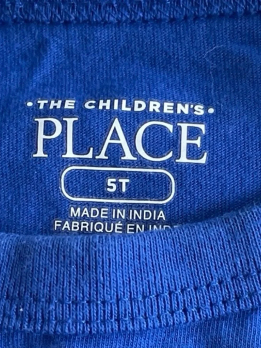 Boys Blue Chameleon Graphic T-shirt Children’s Place 5T